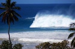 Big blue grinder at Tres Palmas.